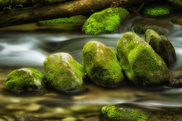 Green moss covered rocks arranged in a zen like fashion in a stream with flowing water